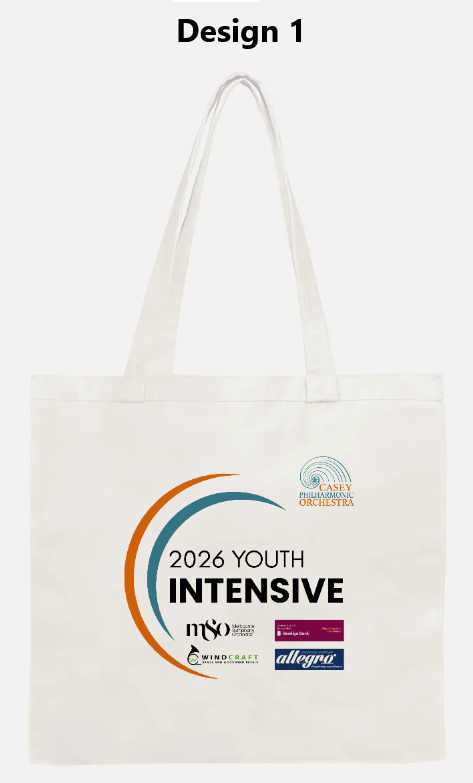 small tote bag no zip.png