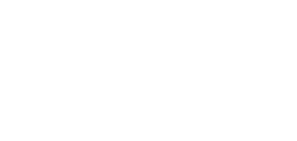 Mountain Horse Photography