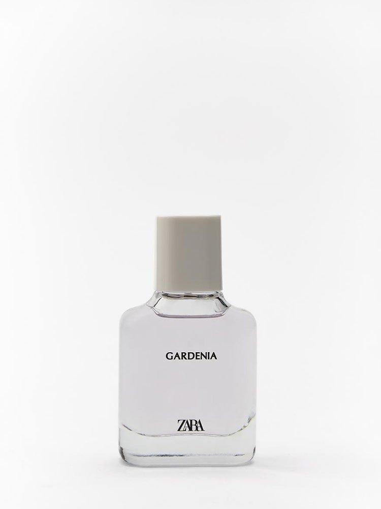 ZARA | Gardenia