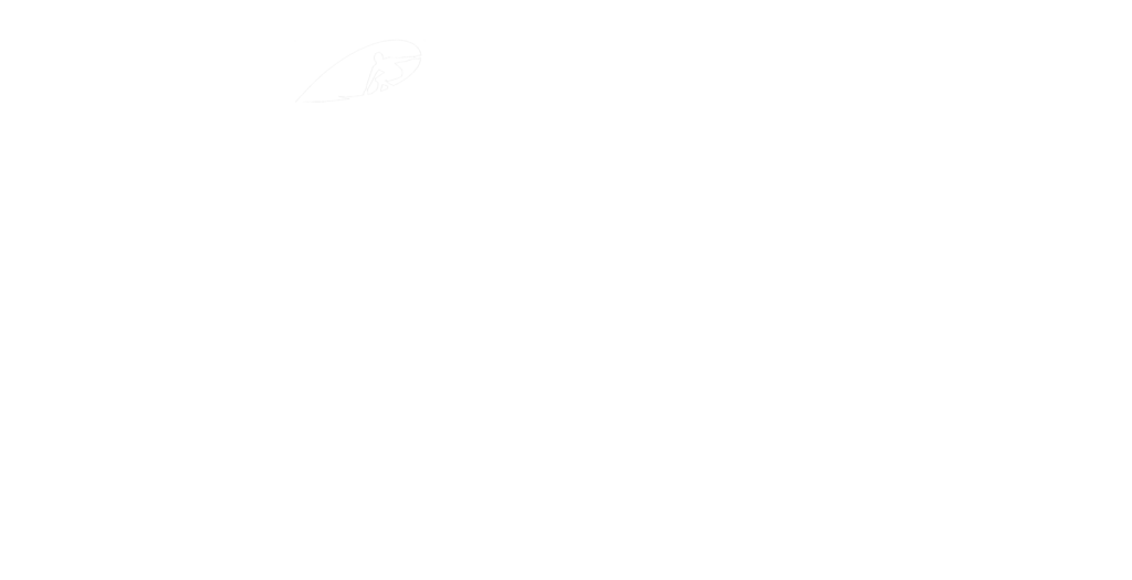 CSalt Academy 