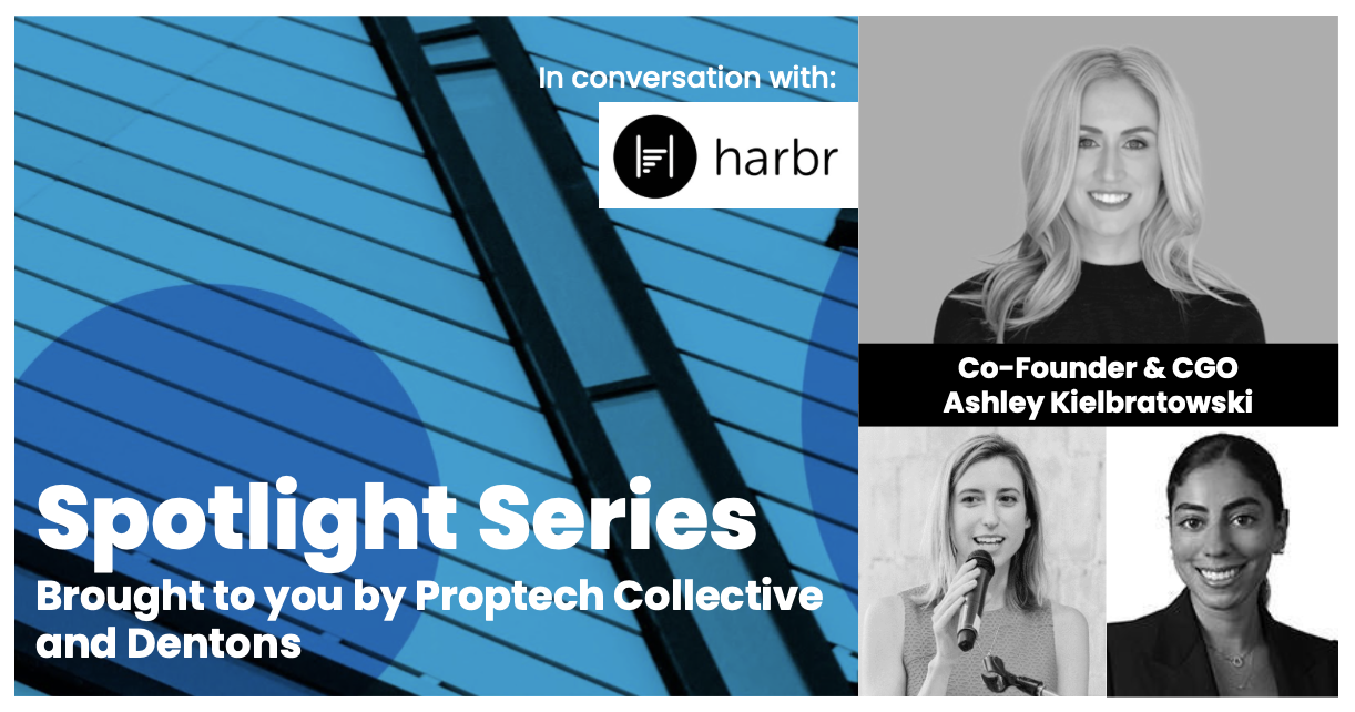 Spotlight Series: Ashley Kielbratowski from Harbr