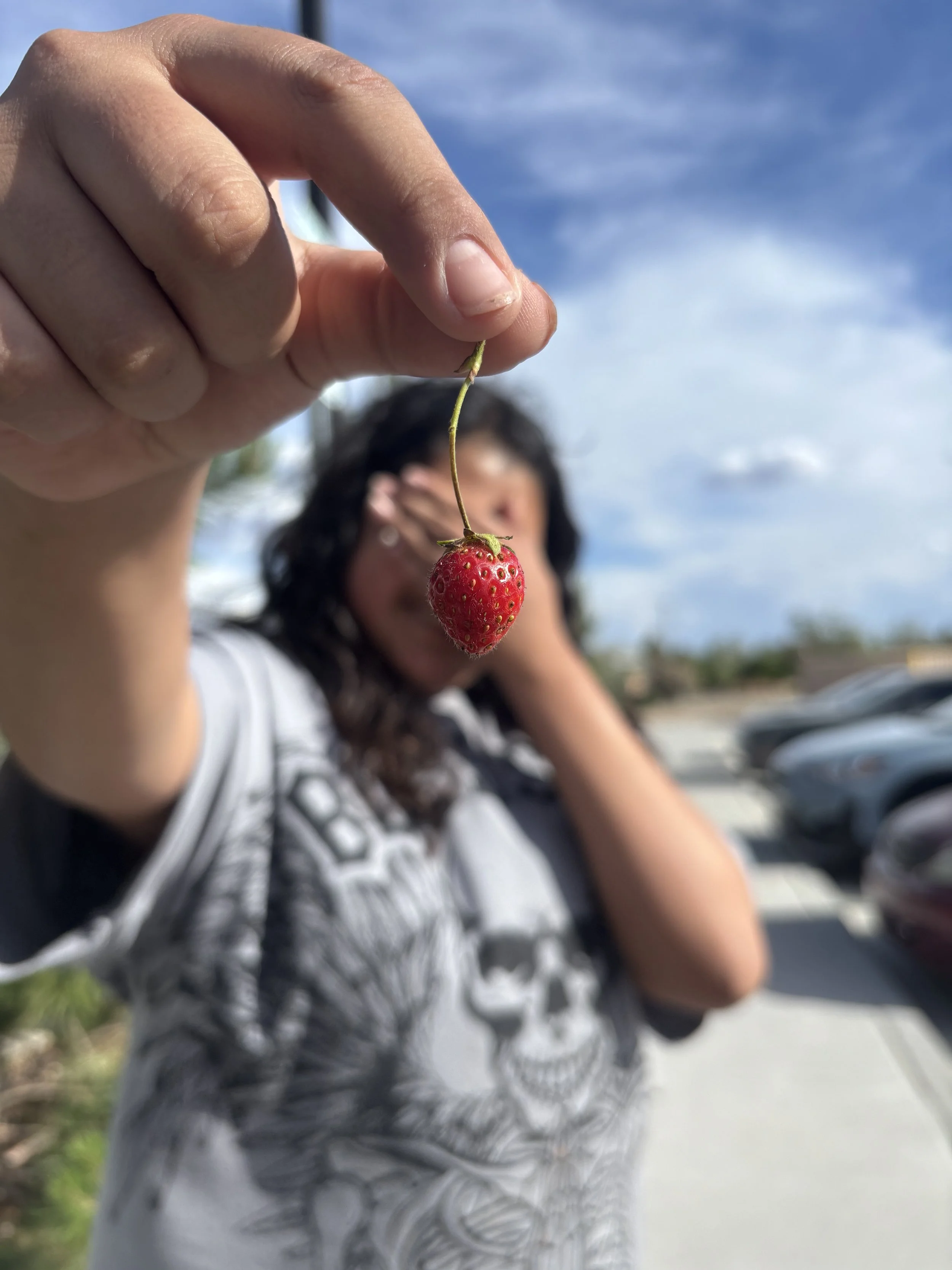 IMG_3955.jpeg