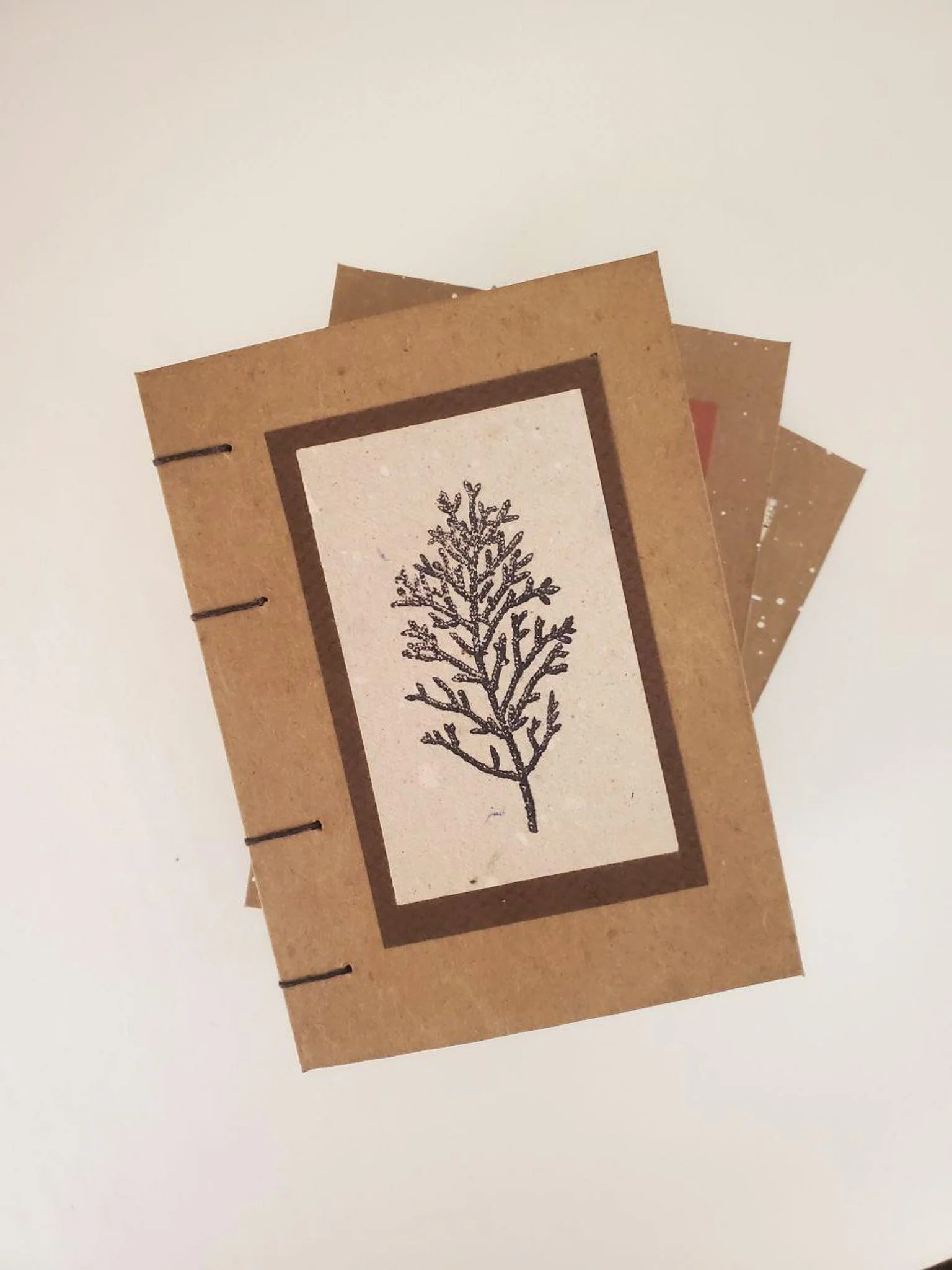 photo_4949750587038215530_y (1).jpg