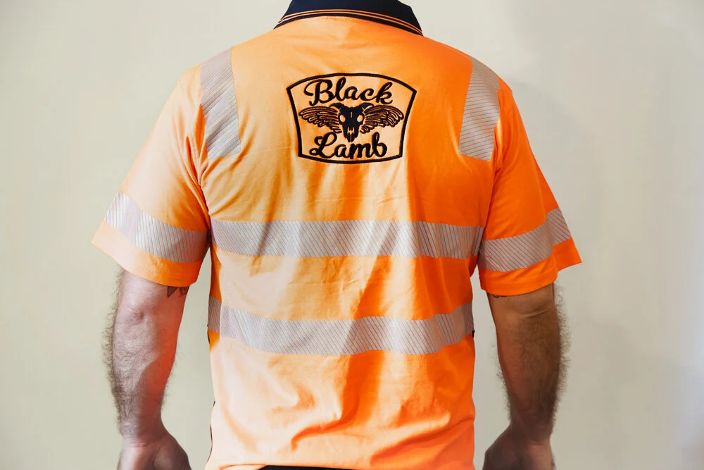 Blue Silver Hi VizIMG_9466.jpg