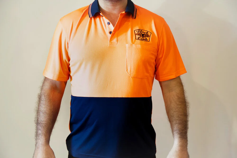 blue and orangeIMG_9467.jpg