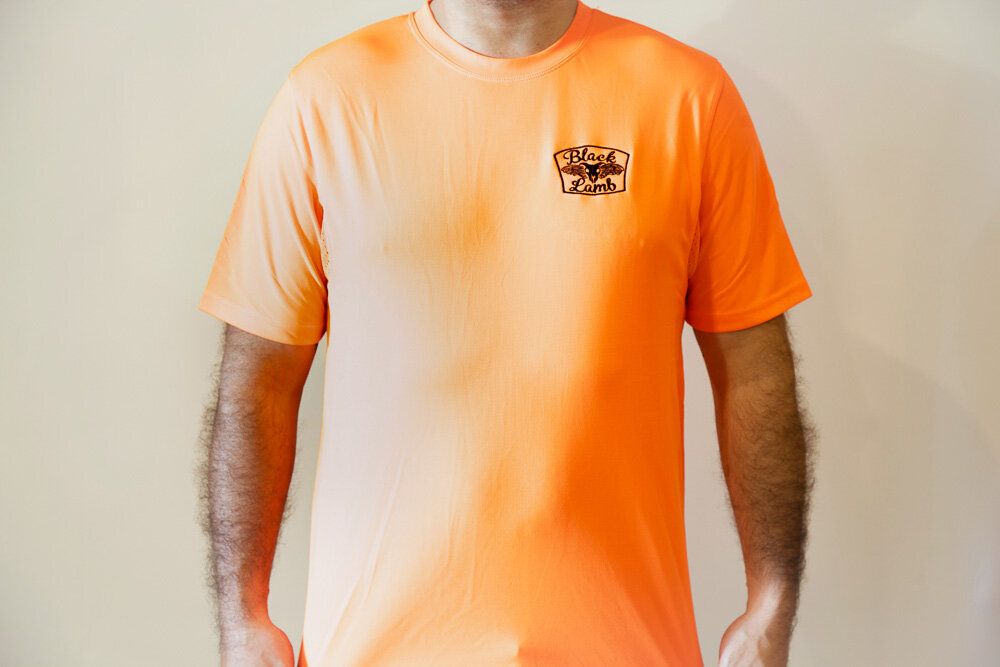 plain shieldIMG_9471.jpg