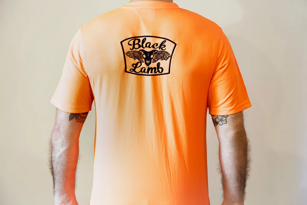 plain shieldIMG_9472.jpg