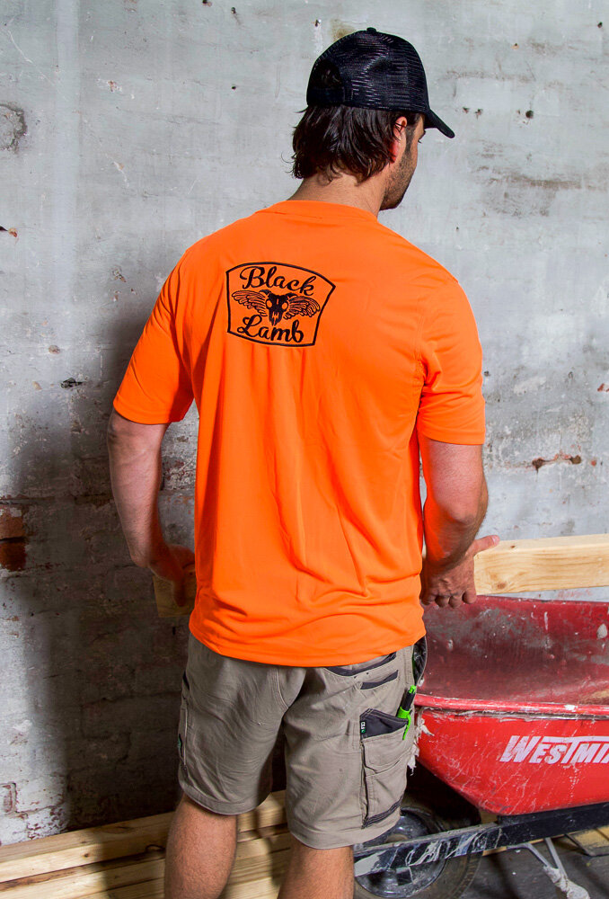 plain shieldIMG_9262.jpg