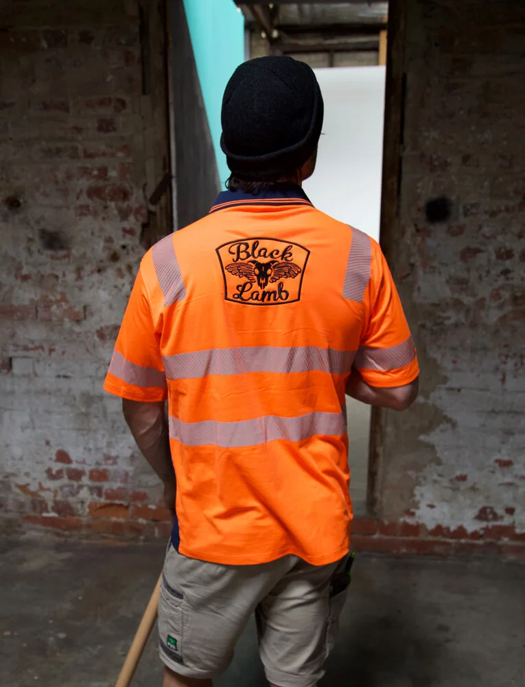 hi-vis silverIMG_9280.jpg