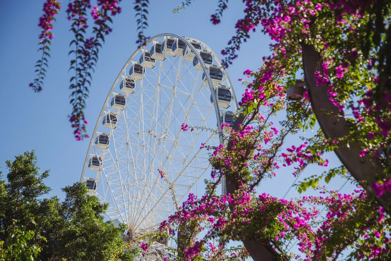 Toto Virtuoso-44.jpg