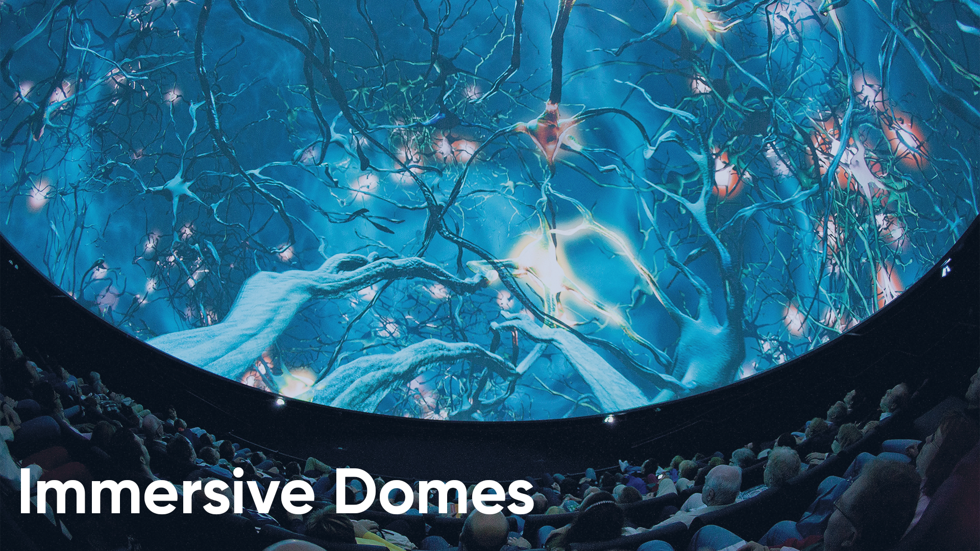 Immersive Domes.png