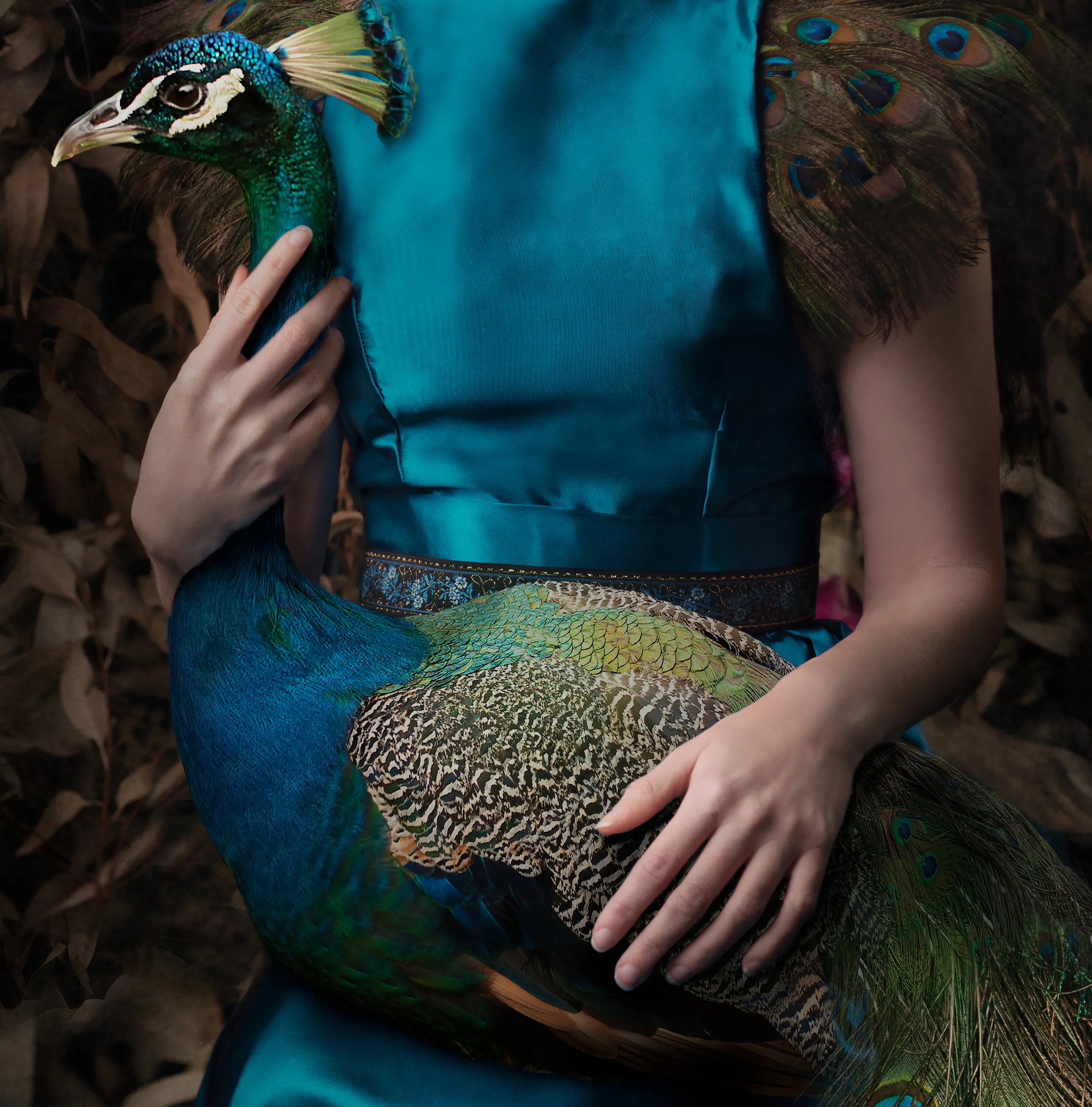 peacock detail 2 square.jpg