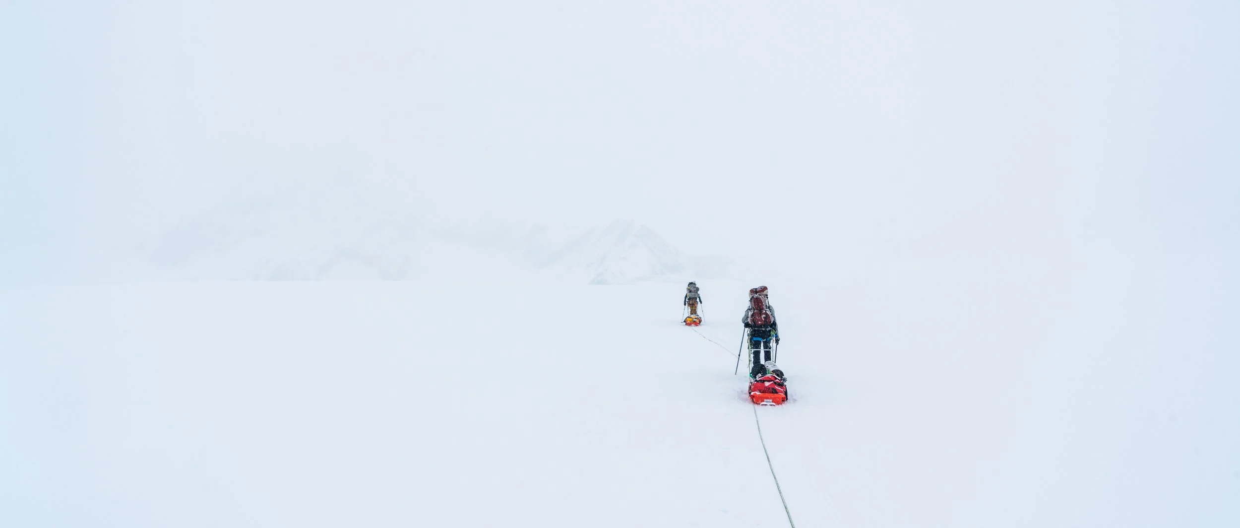 website Denali gallery-1.jpg