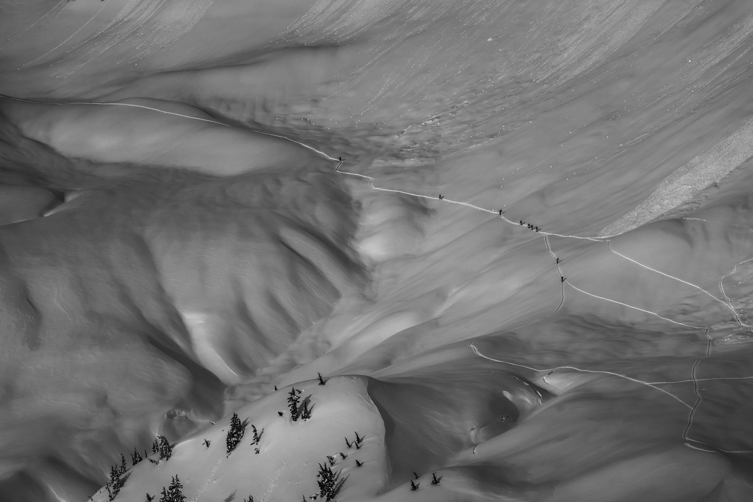 Website Adventure-29.jpg