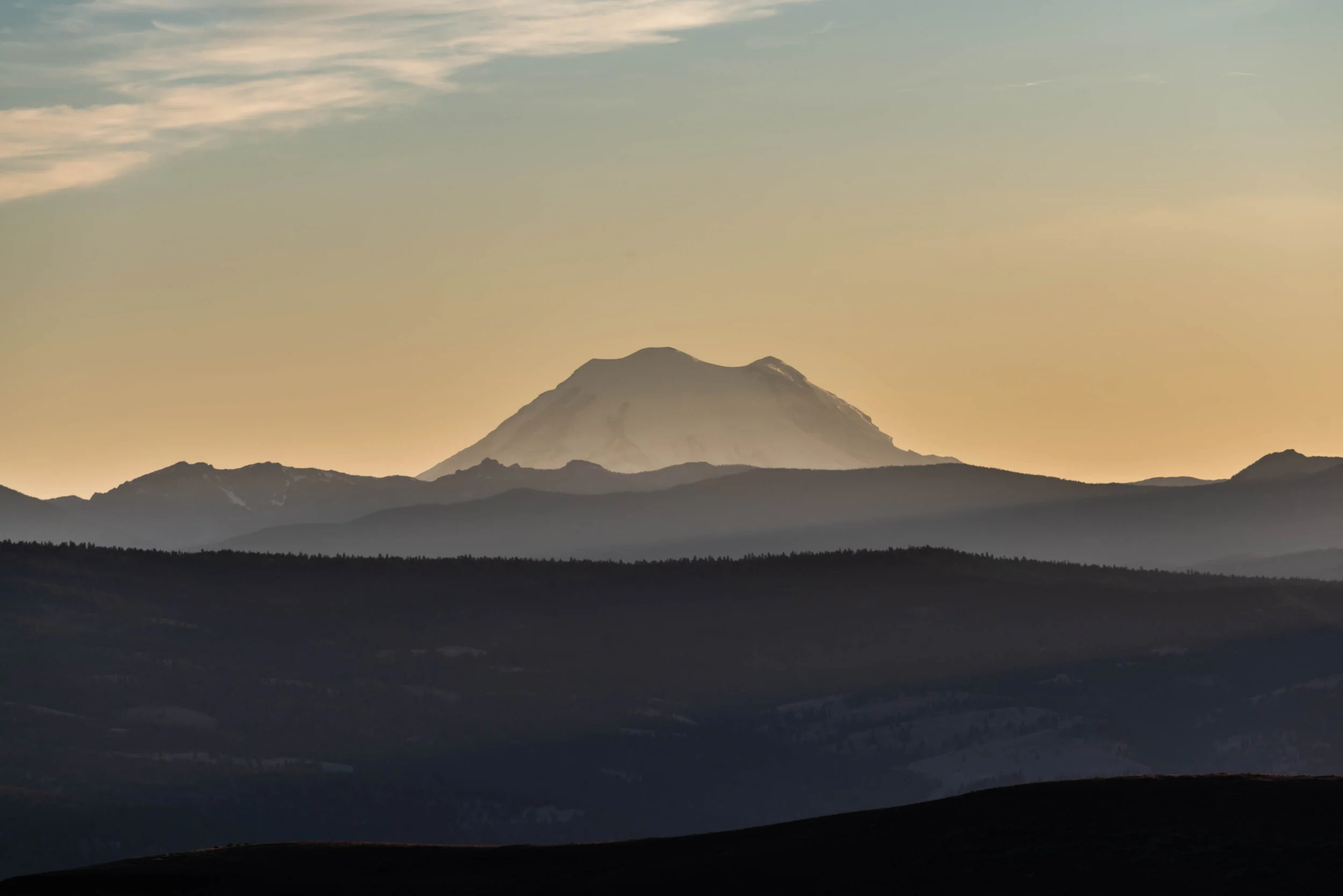 Website Landscape-45.jpg
