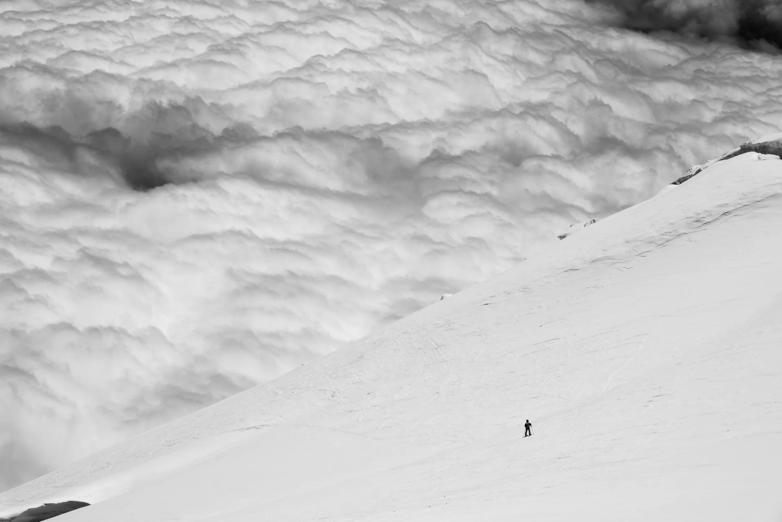 Website 5-28 Export-6.jpg