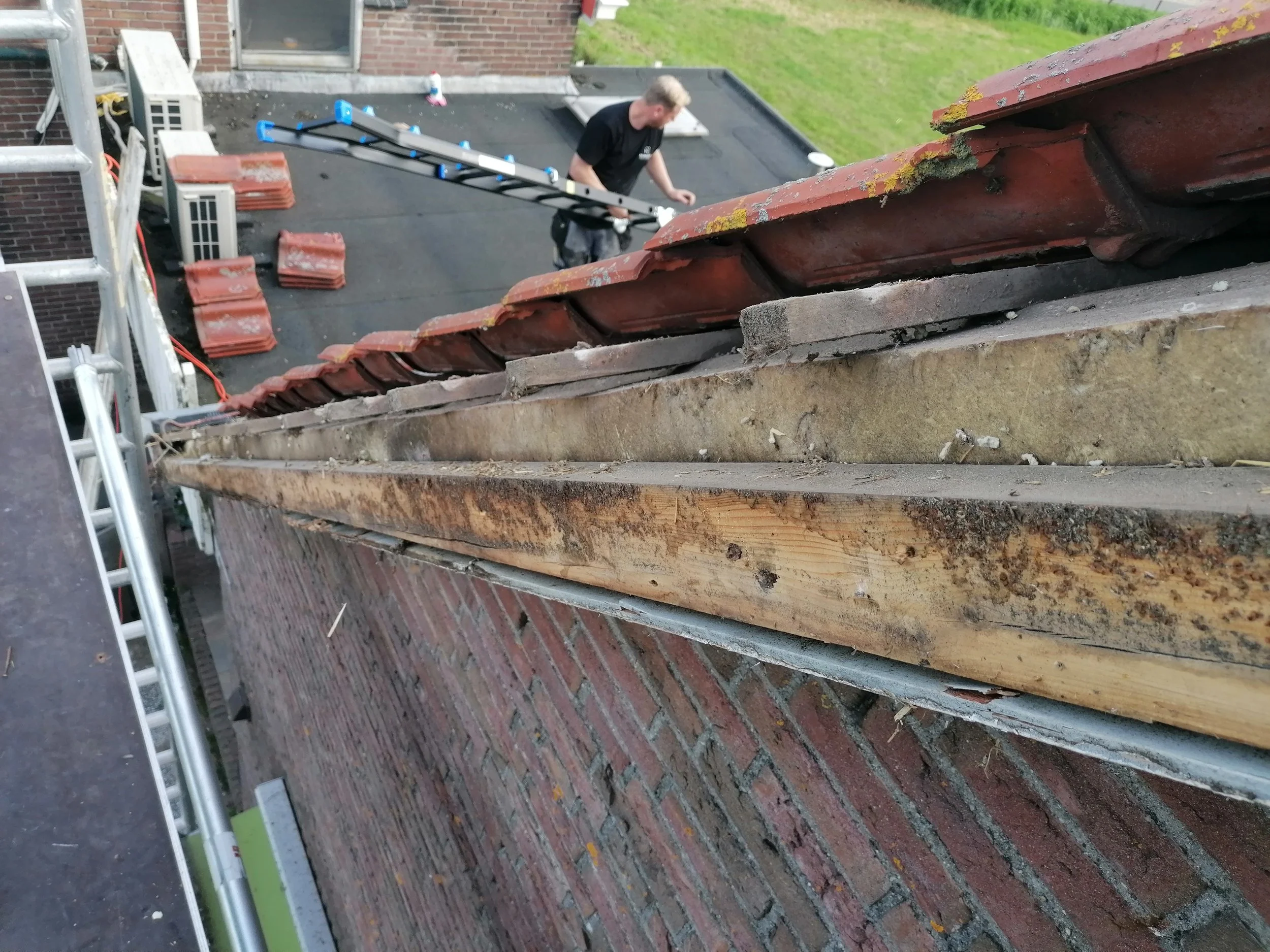 Roof and Facade Renovation – Oostzaan (Netherlands) – Hugo Will Fix It