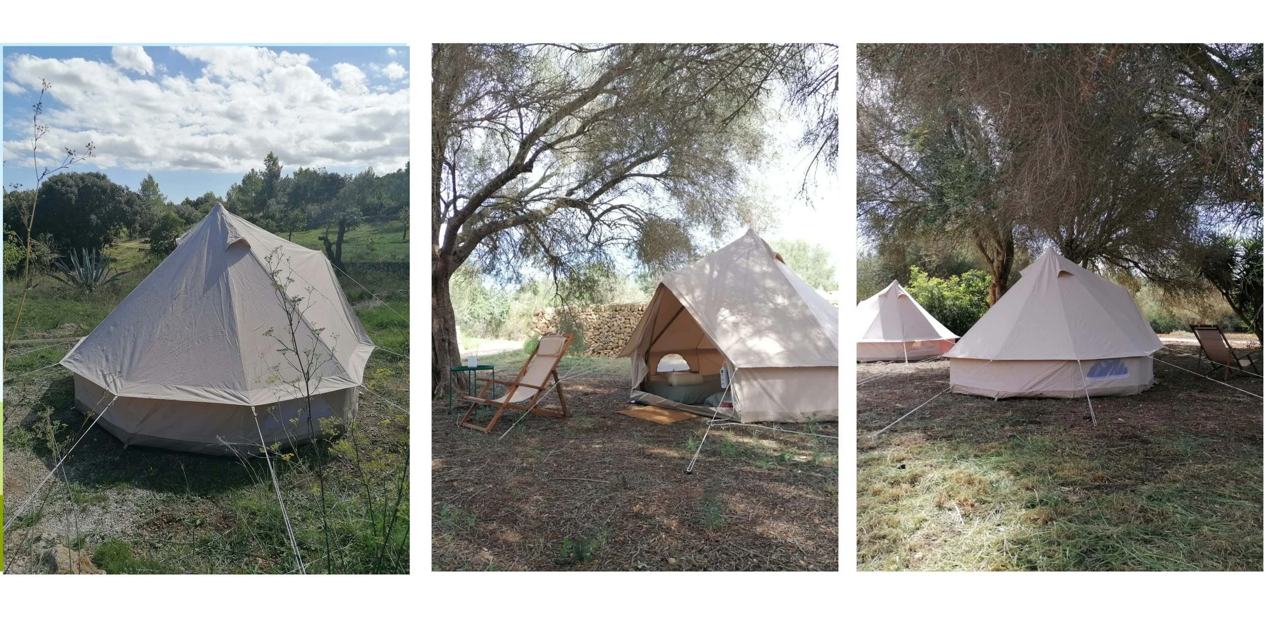 Luxury bell tent installed beneath mature trees at a Mallorca finca.