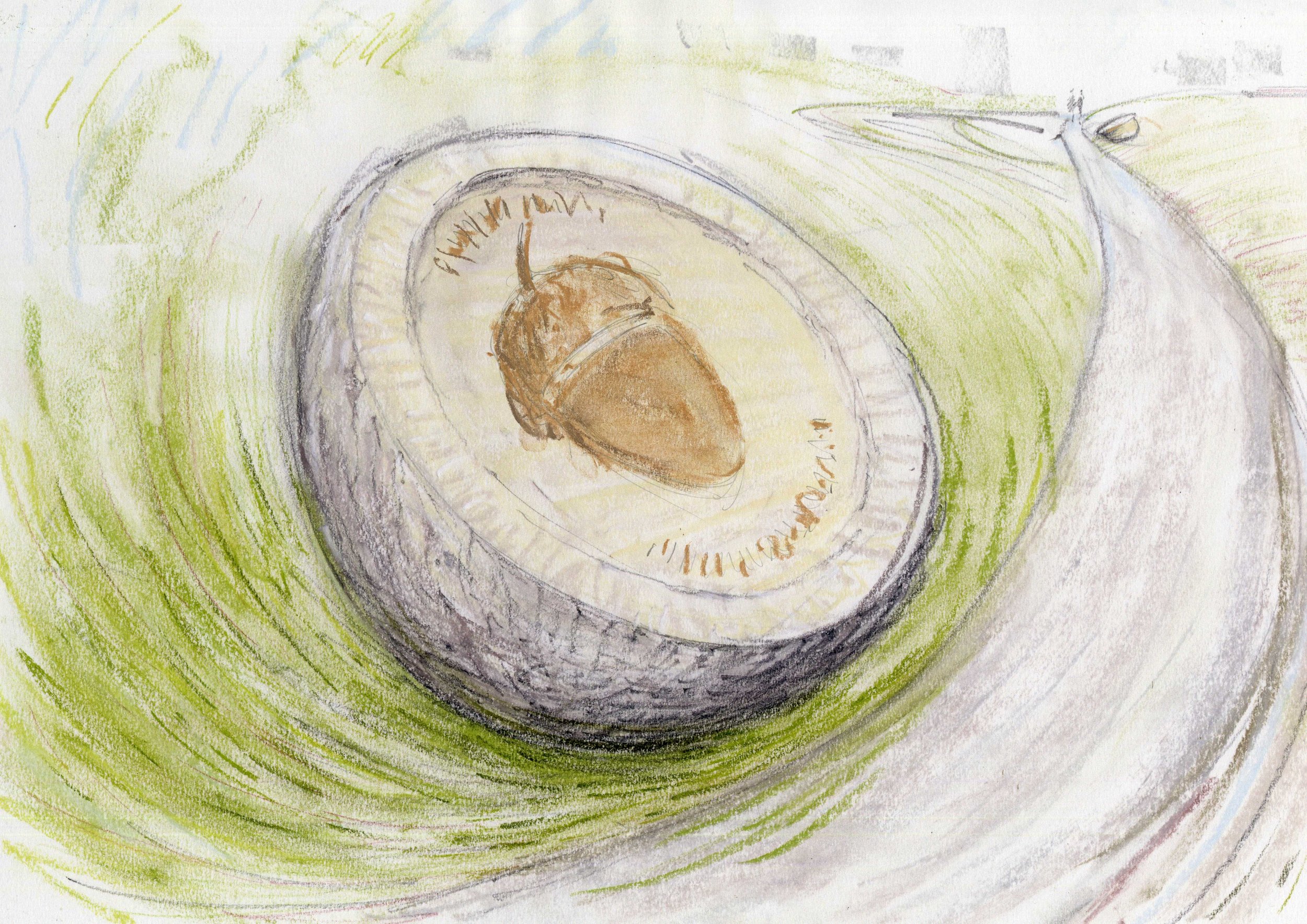 Howard Bowcott, NURTURE — Art for the Grange | Celf ar gyfer y Faenor