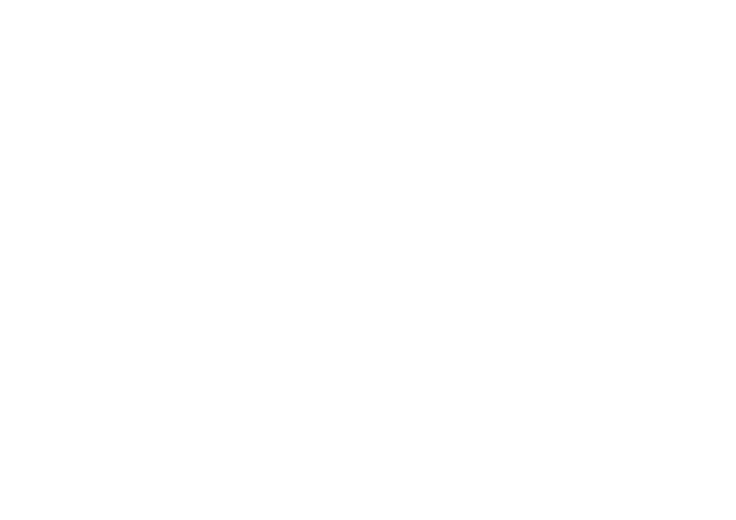 TOMS LOFT