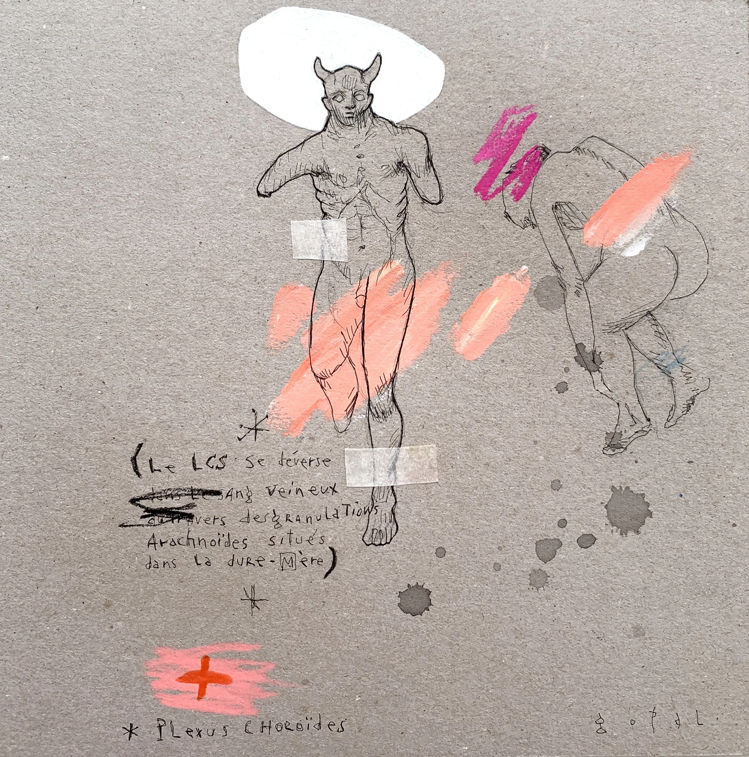 Études anatomiques approximatives #24