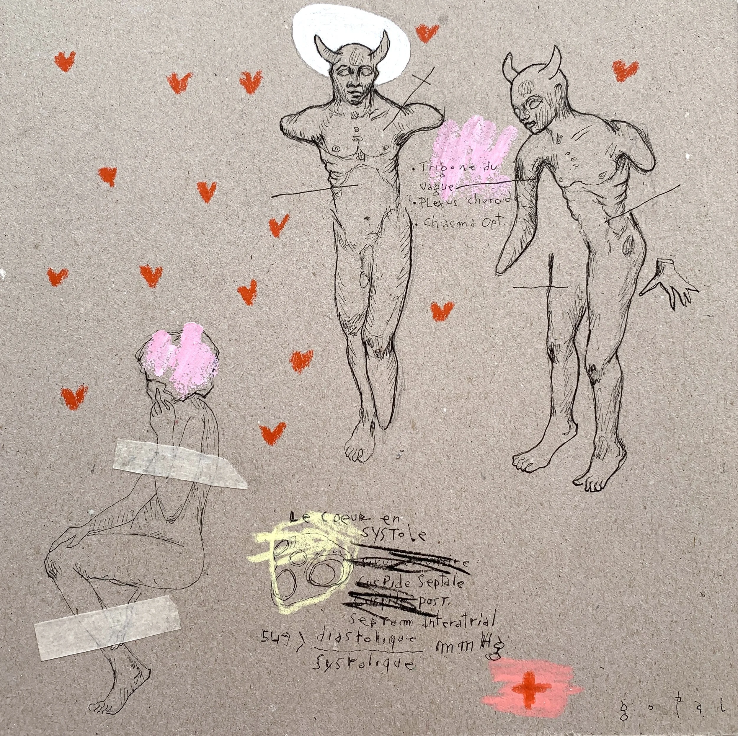 Études anatomiques approximatives #25