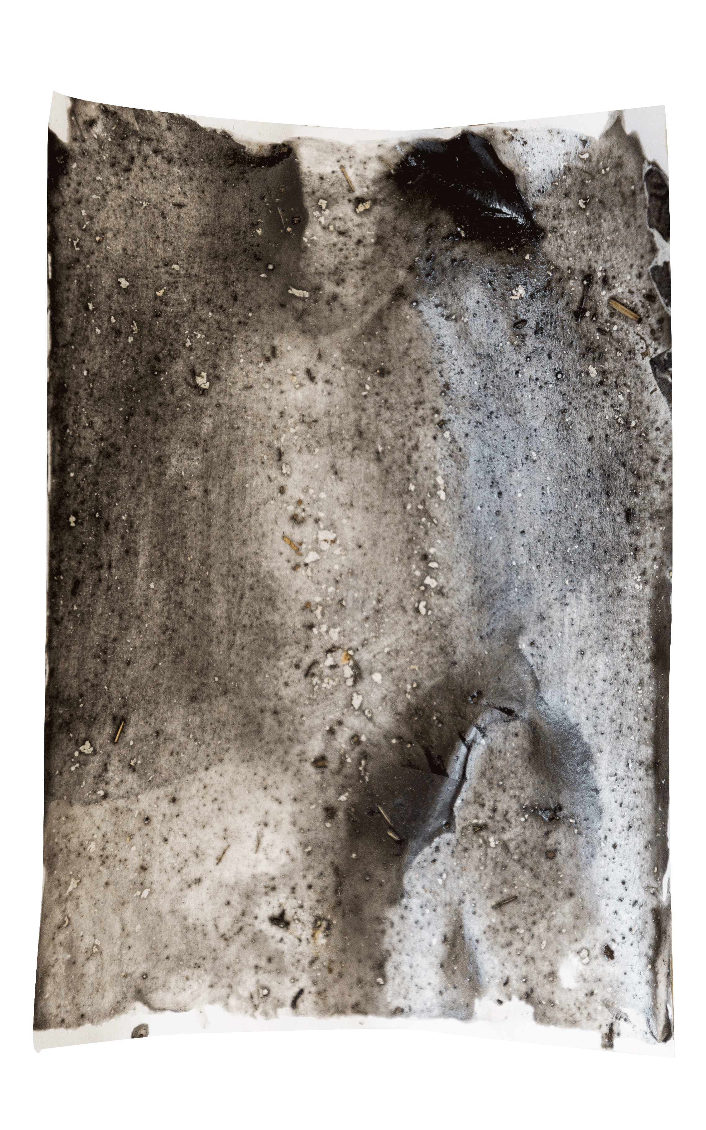 Esquisses préparatoires #58