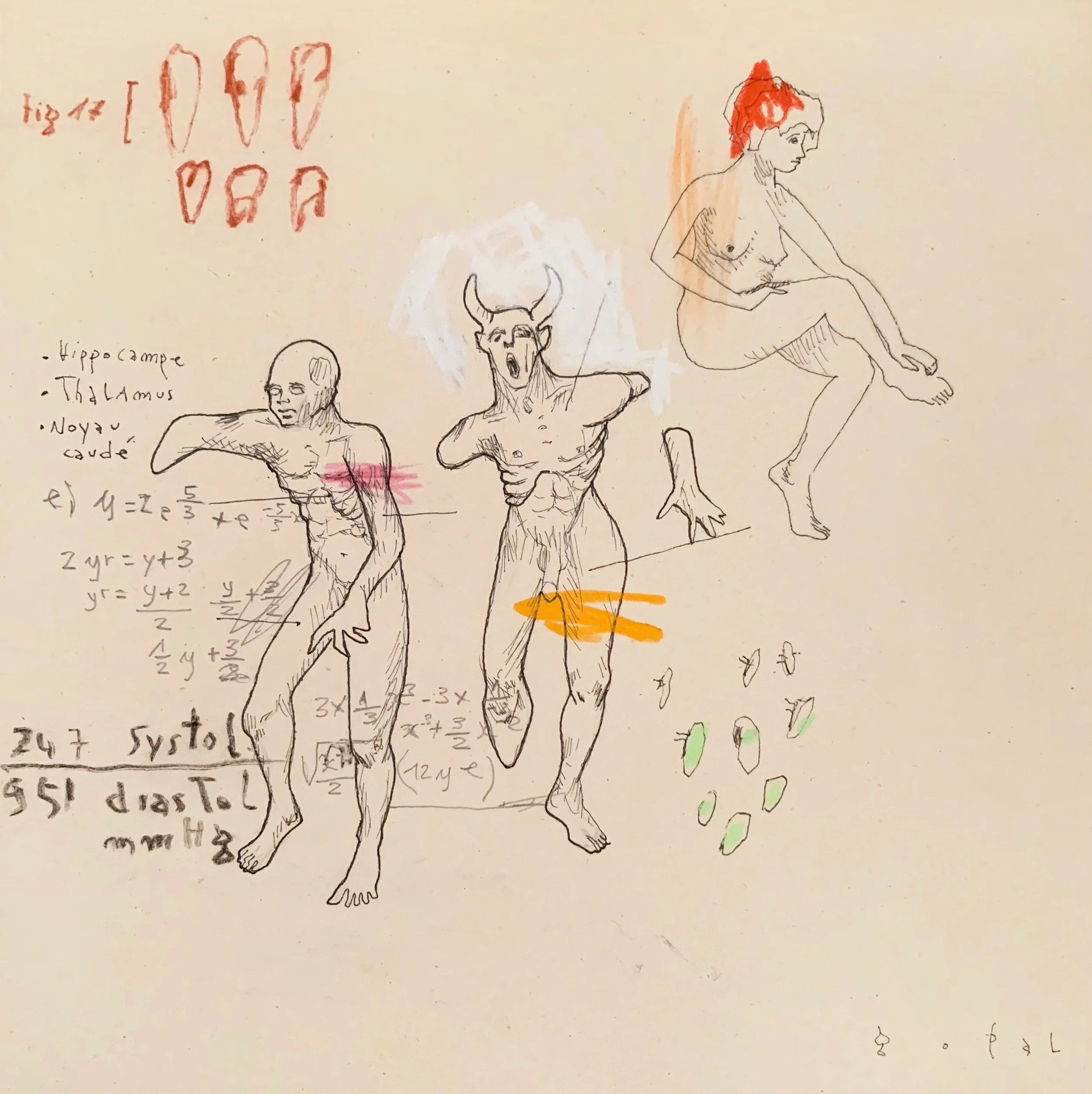 Études anatomiques approximatives #6