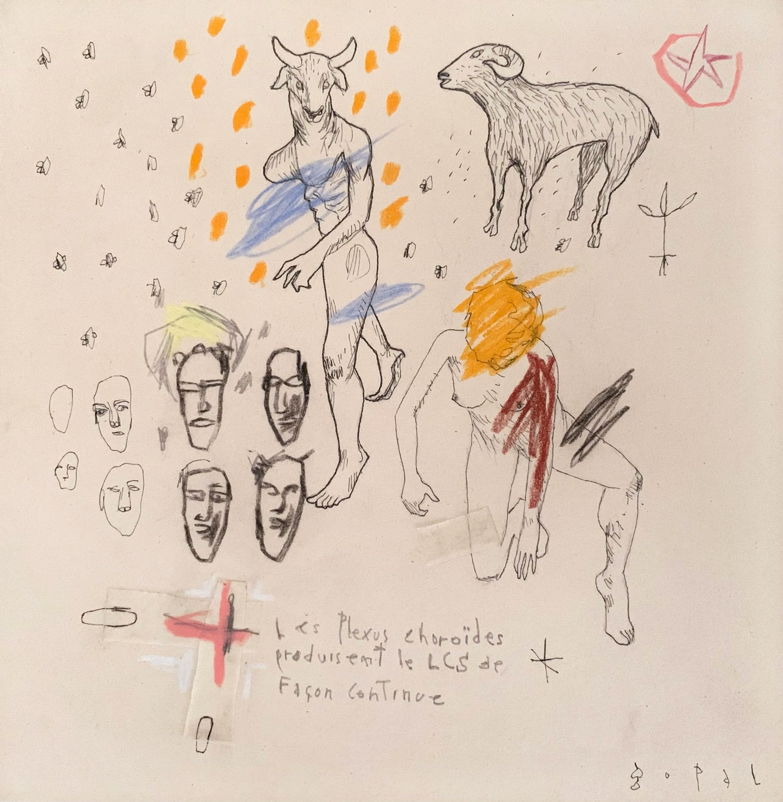 Études anatomiques approximatives #15