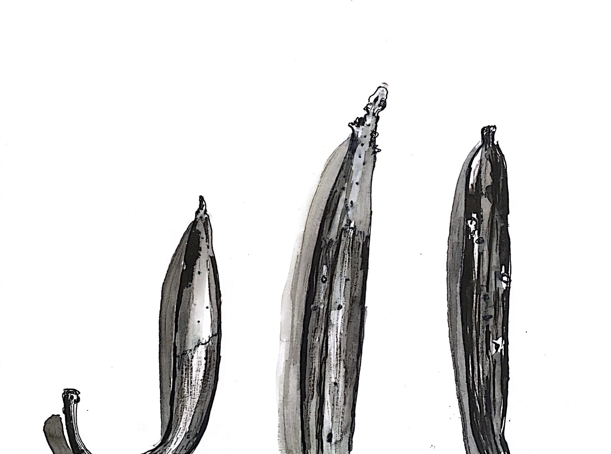 Esquisses préparatoires #5