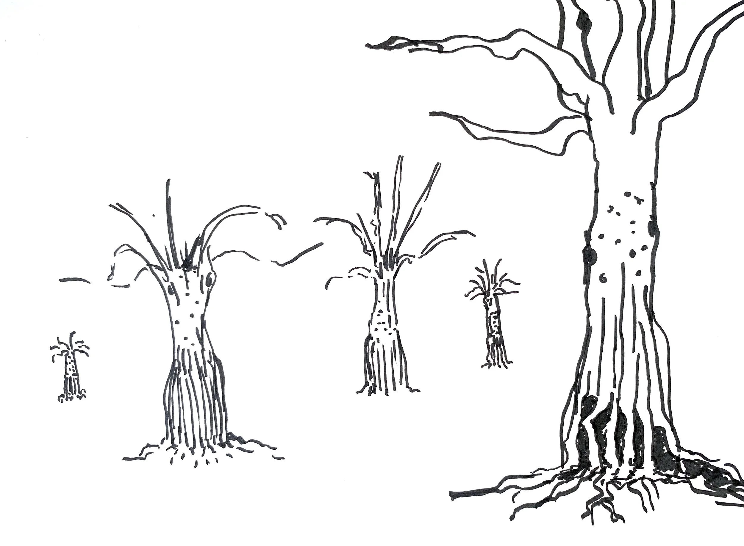 Esquisses préparatoires #15