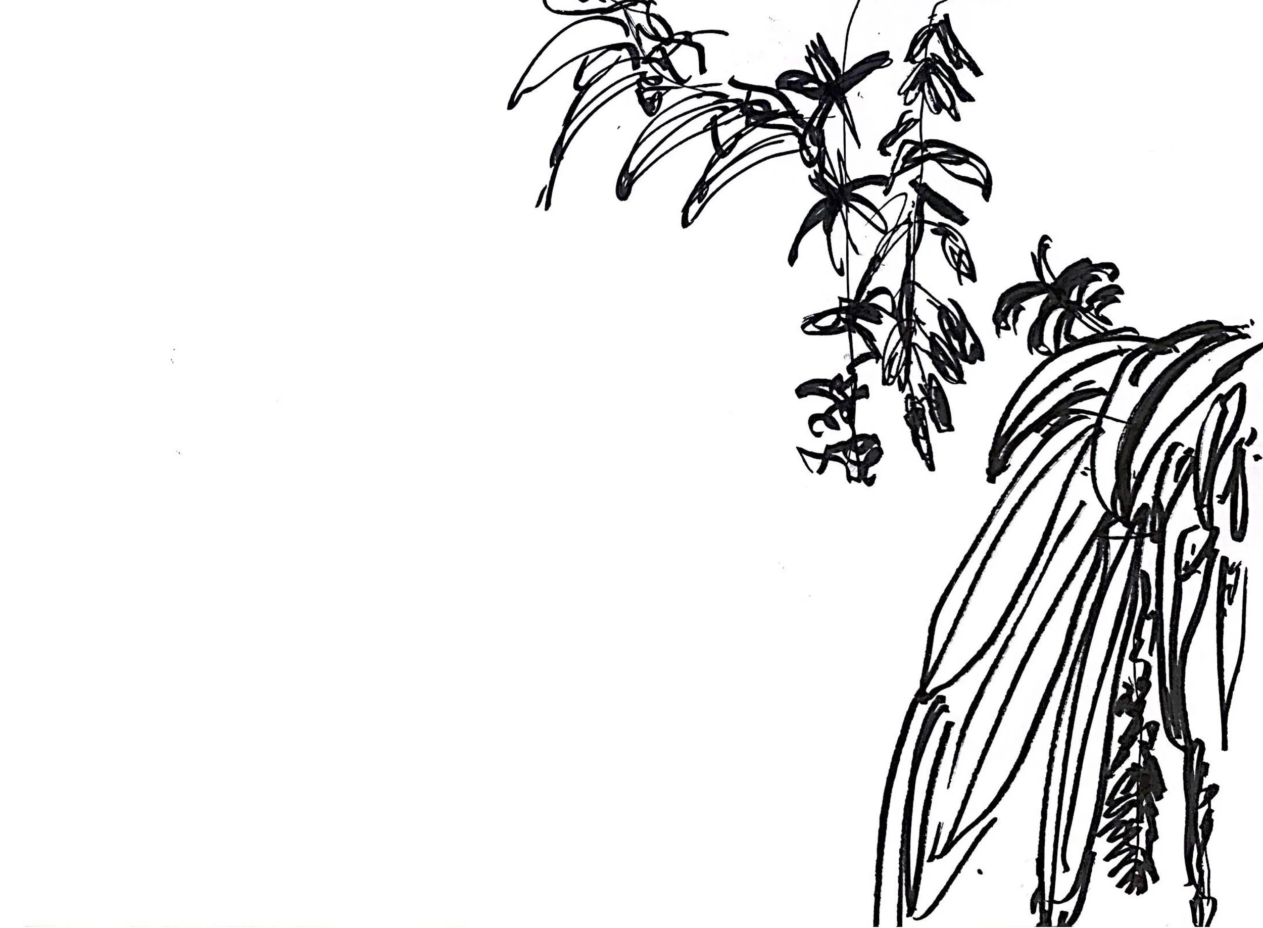 Esquisses préparatoires #1