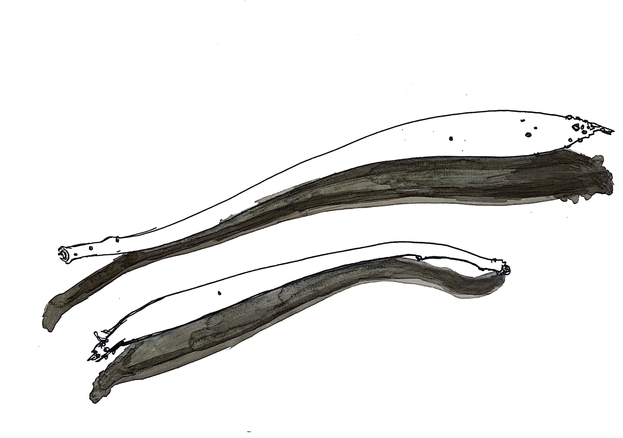 Esquisses préparatoires #7