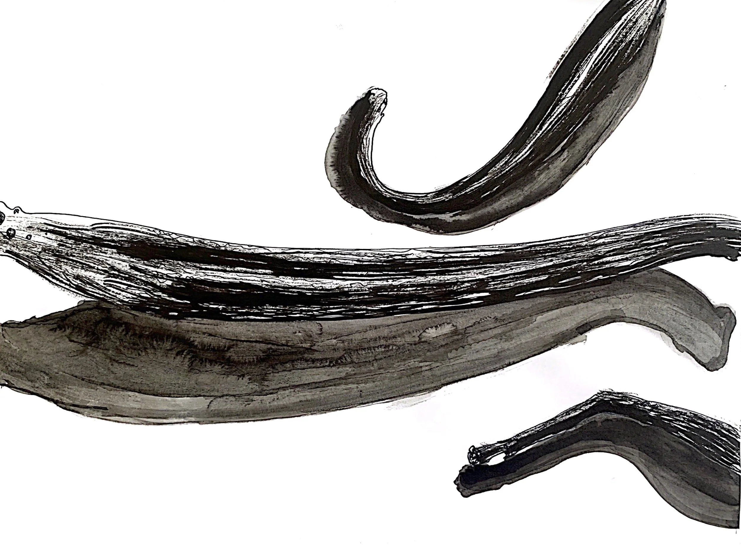 Esquisses préparatoires #8