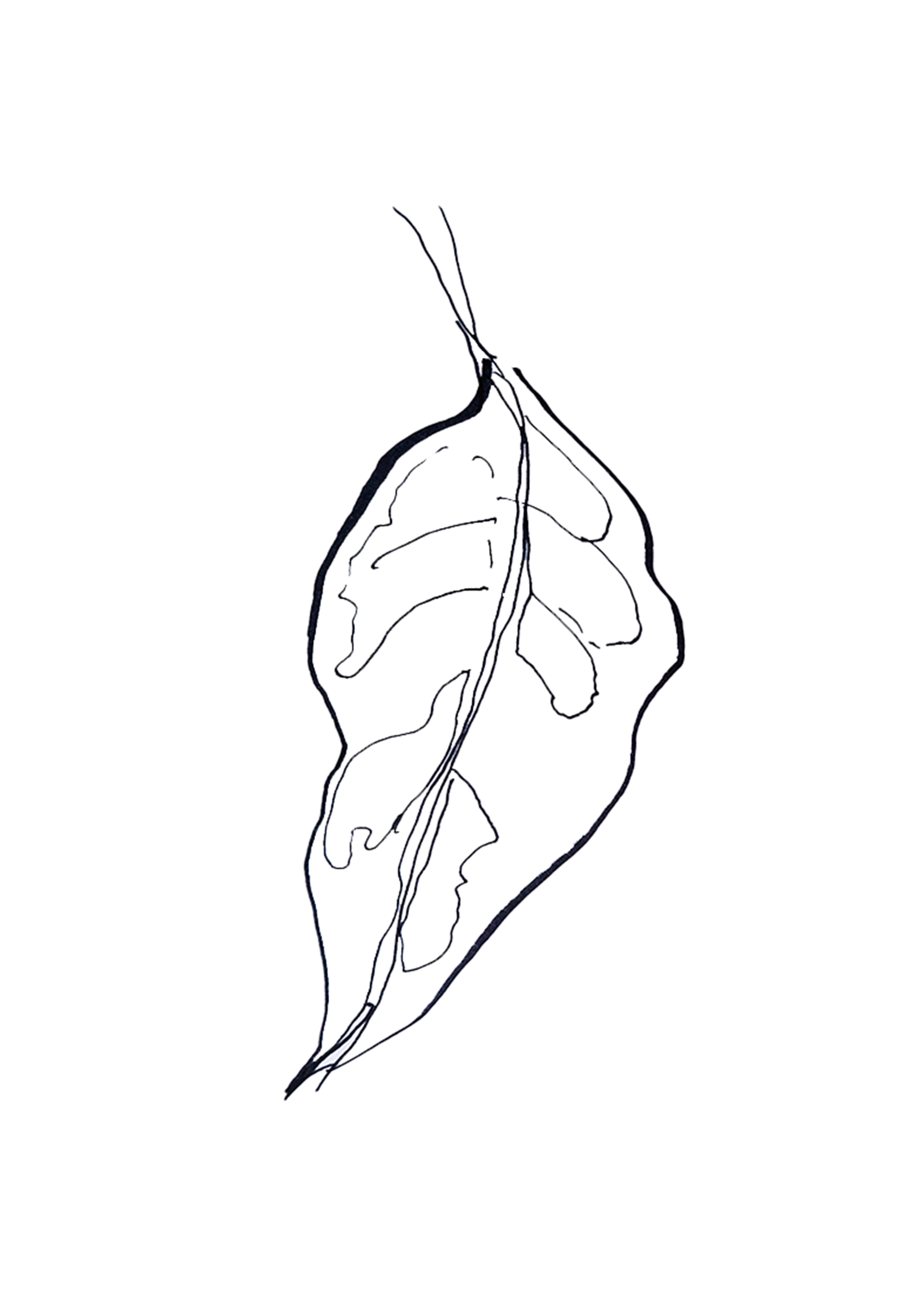 A tale of modernism #68