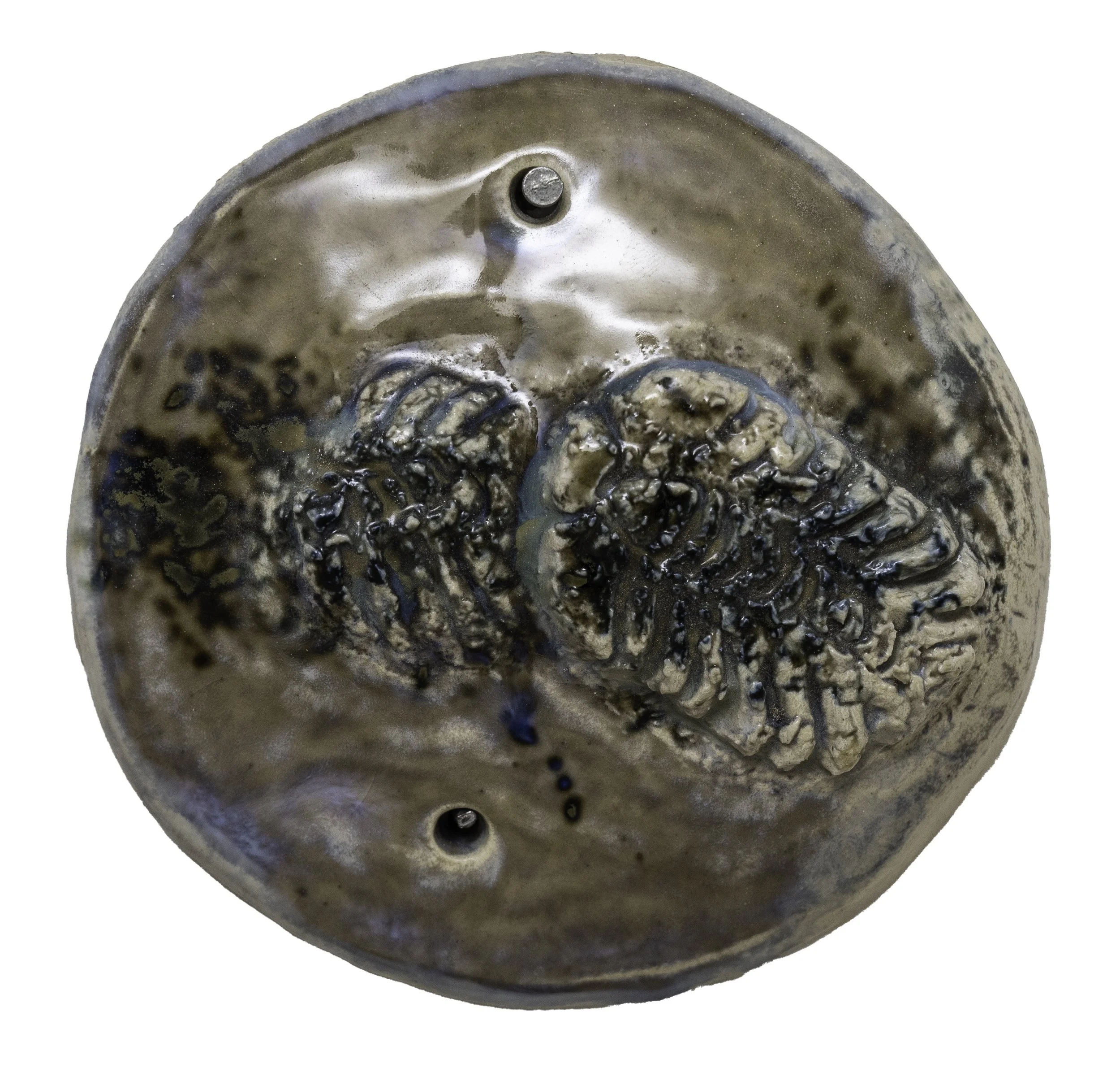 MischaSanders&PhilippPutzer_Curiosités D7_2017_Fossiles, céramiques émaillées_10x10.jpeg