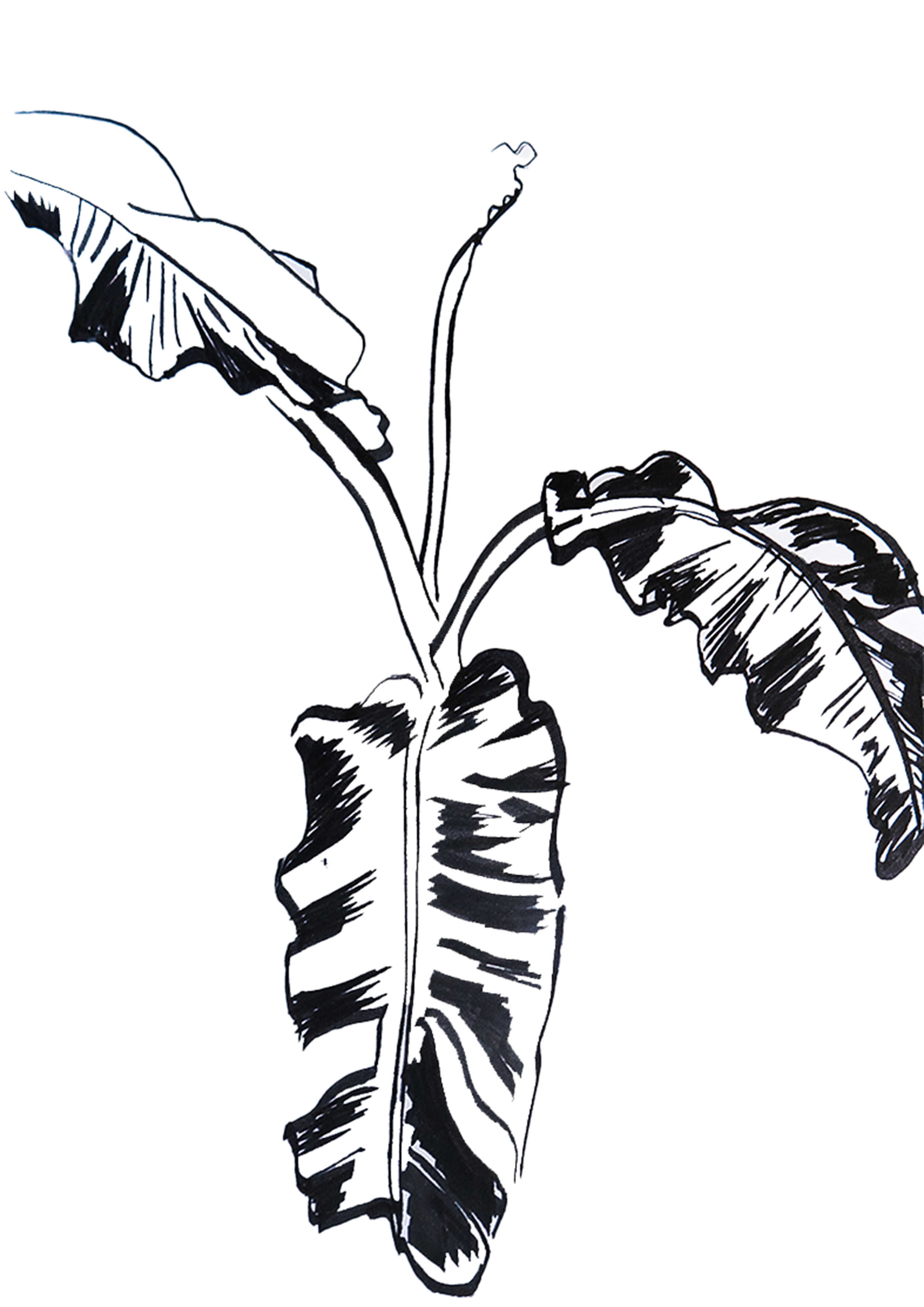 A tale of modernism #16