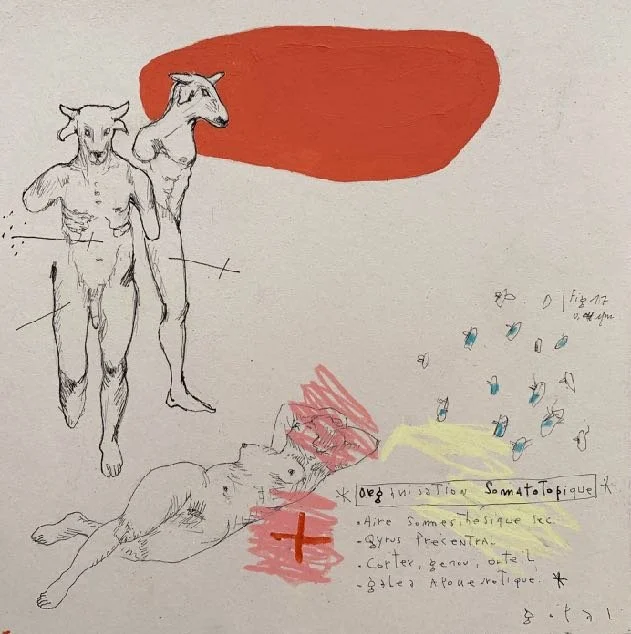 GopalDagnogo_Etudes anatomiques approximatives #1_2022_Technique mixte sur papier_25x25_corr.jpeg