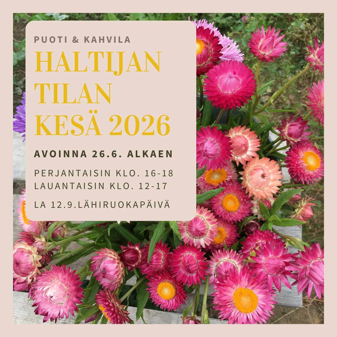 Haltijan kesä 2025 (Instagram-postaus)(1).png
