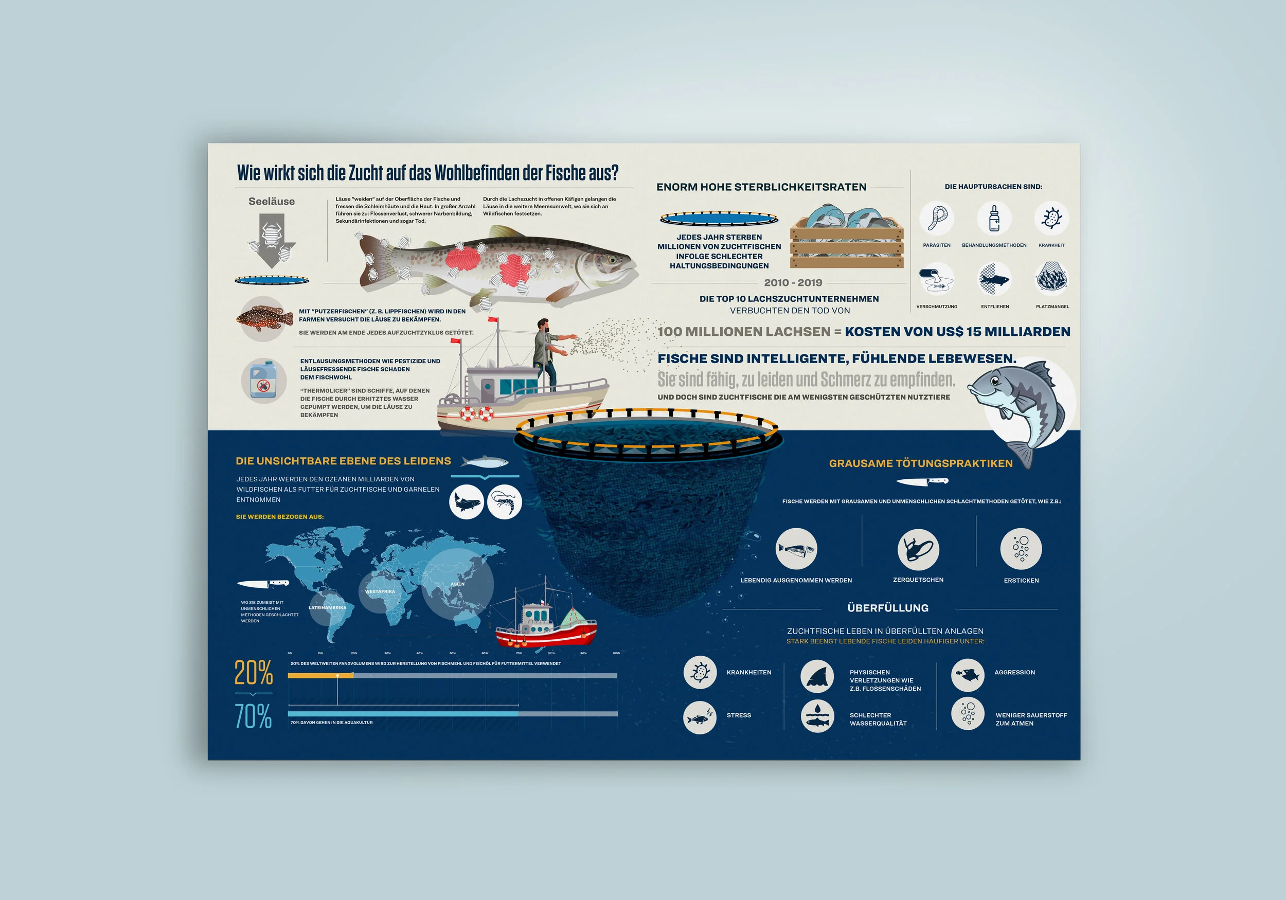 Caught Out: Fish Welfare Infographics