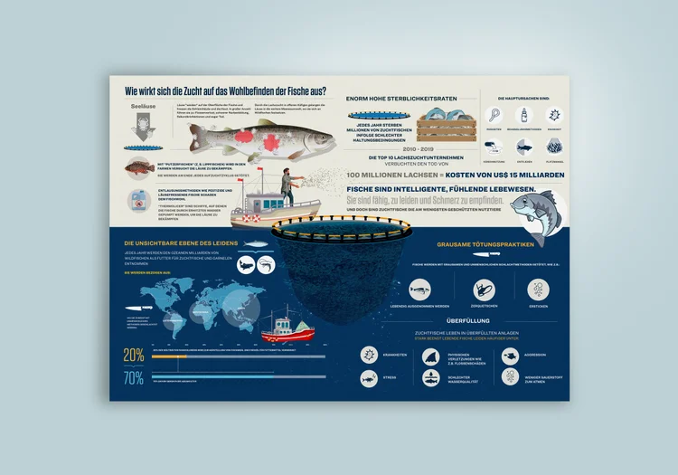 Caught Out: Fish Welfare Infographics