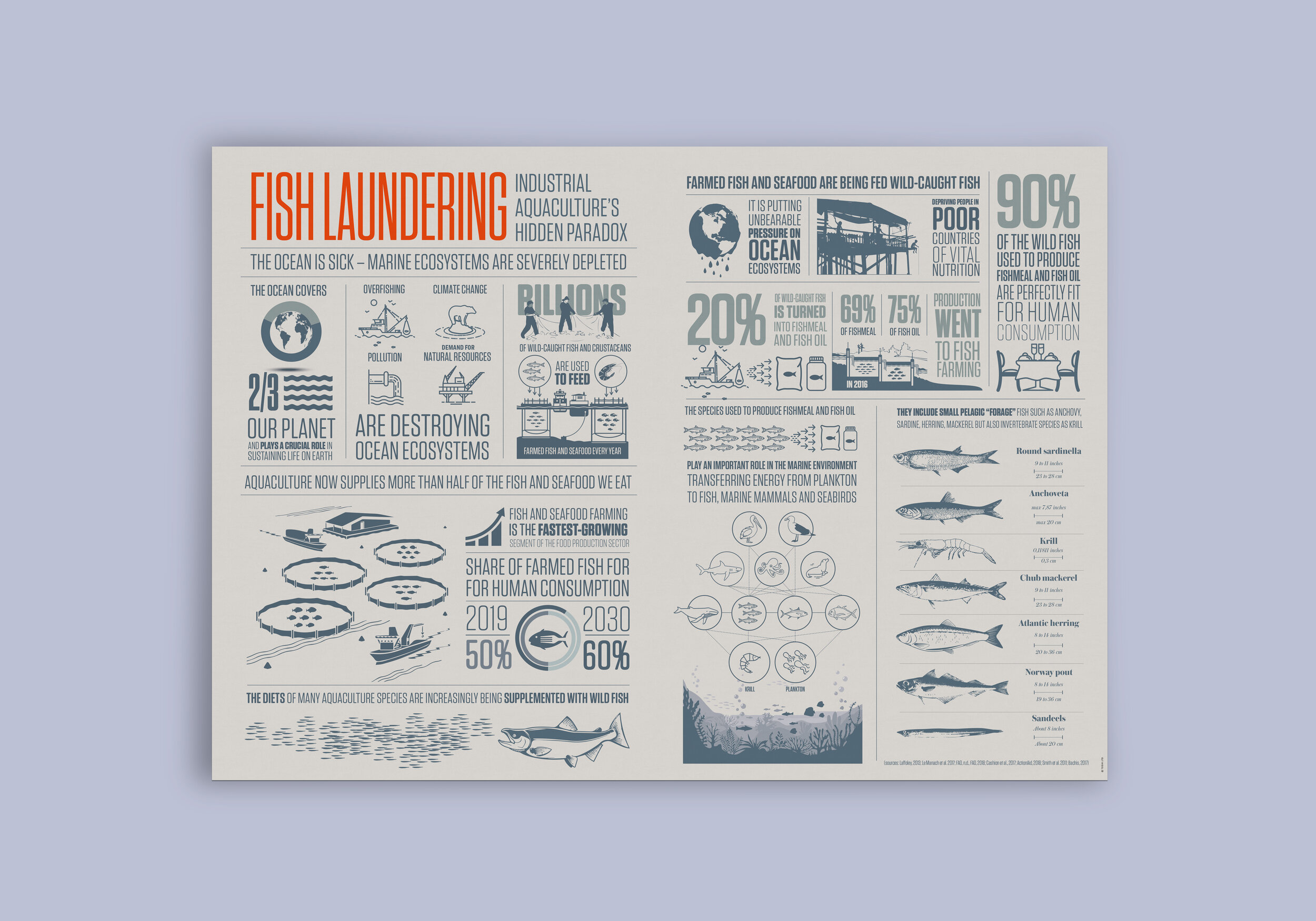 Fish Laundering - Industrial aquaculture’s hidden paradox
