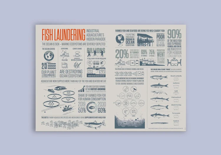 Until the Seas Run Dry: Fish Laundering Infographic