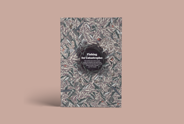 Fishing for Catastrophe