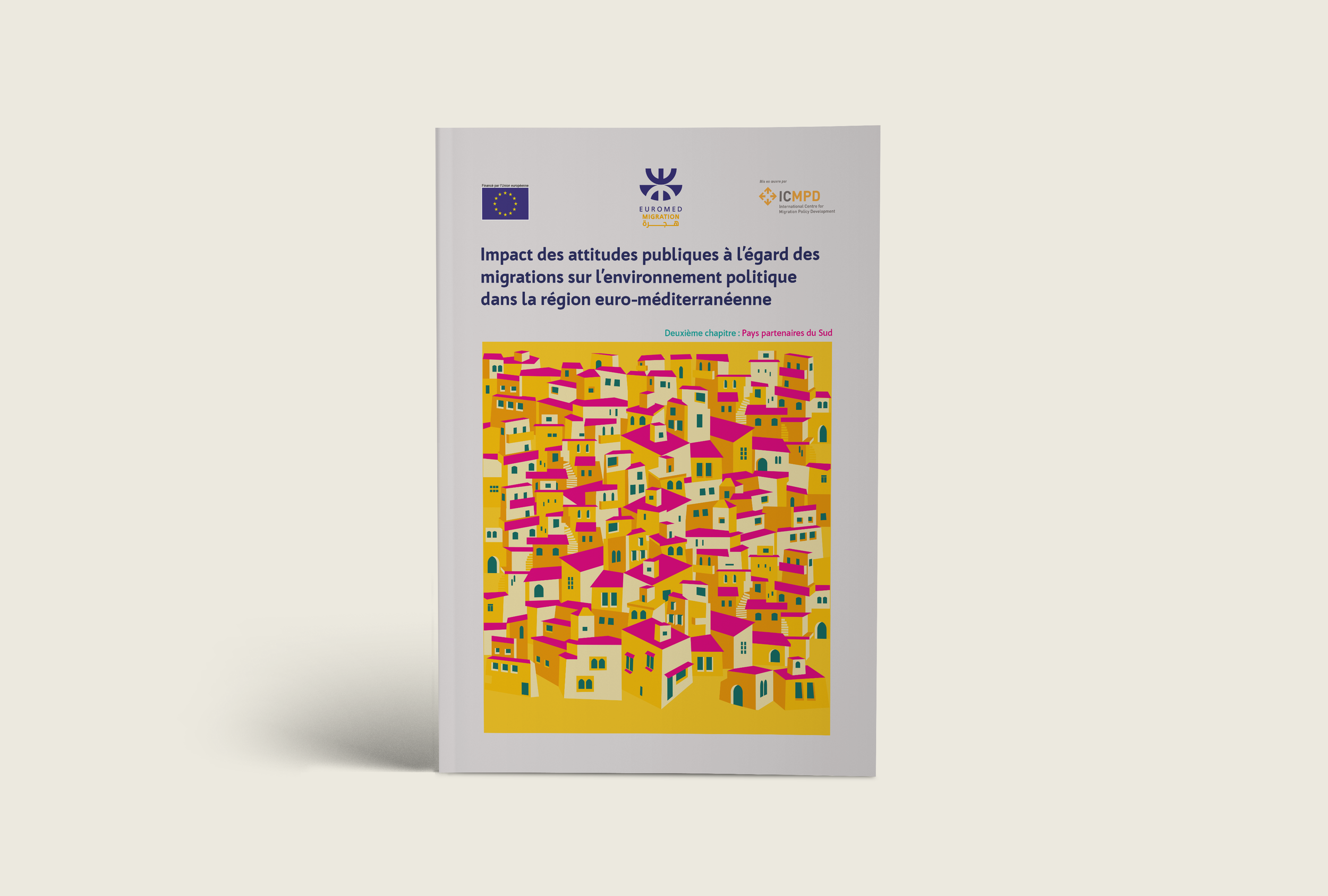 EUROMED-IMPACT-DES-ATTITUDES-.png
