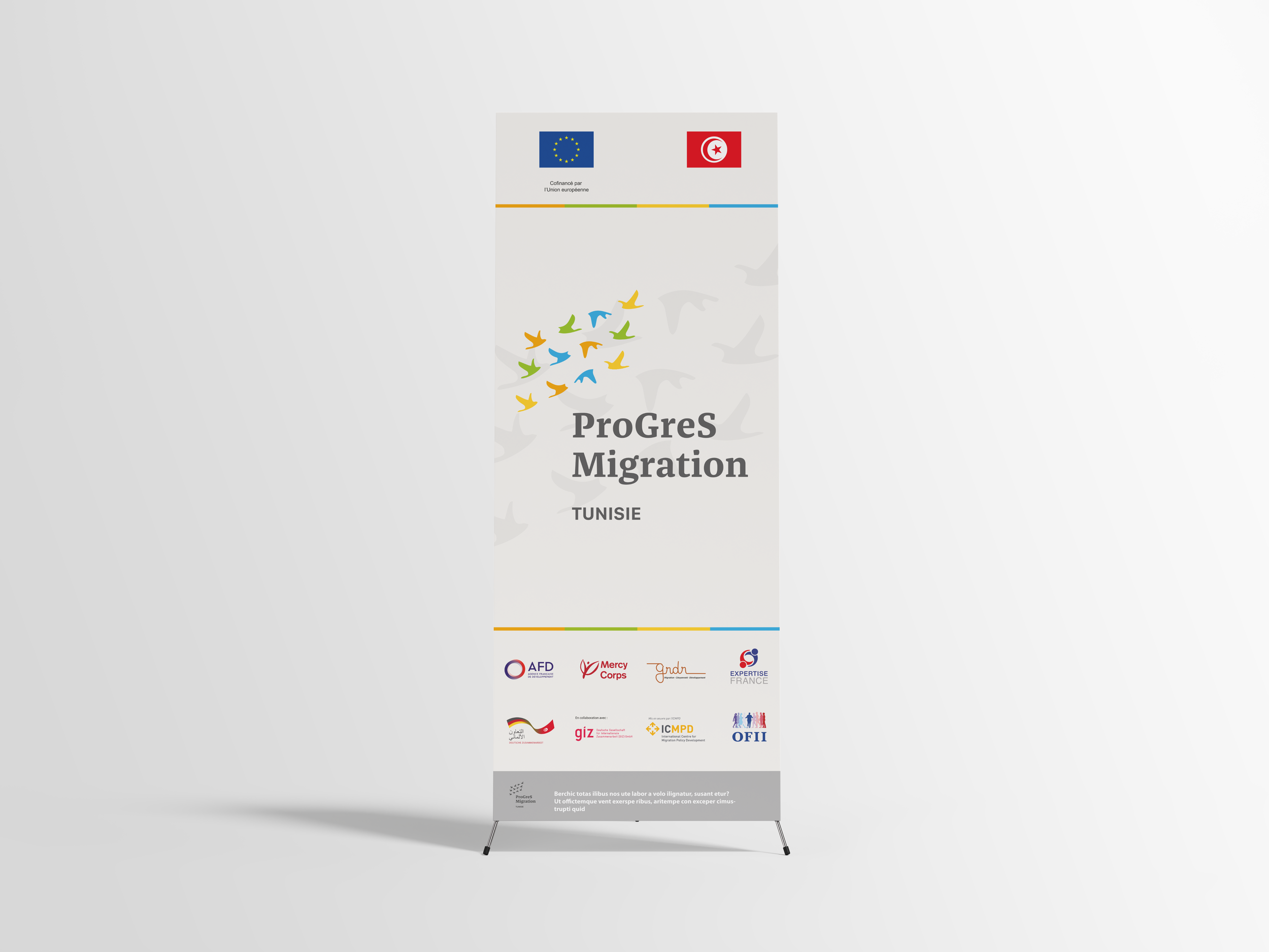 PROGRESSE-MIGRATION-ROLLUP.png
