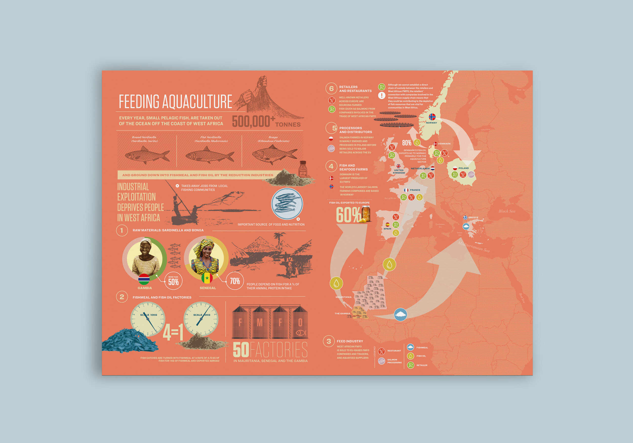 Greenpeace - Feeding Aquaculture