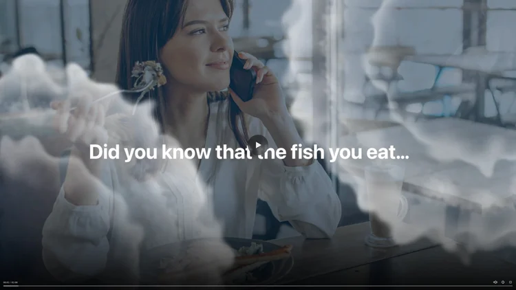 Fishing the Catastrophe Animation