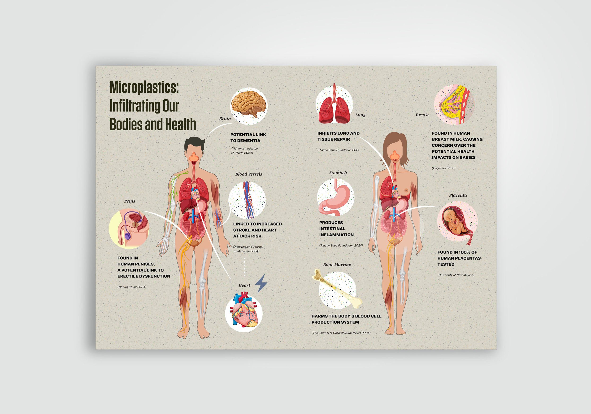 Microplastics: INfiltrating our body