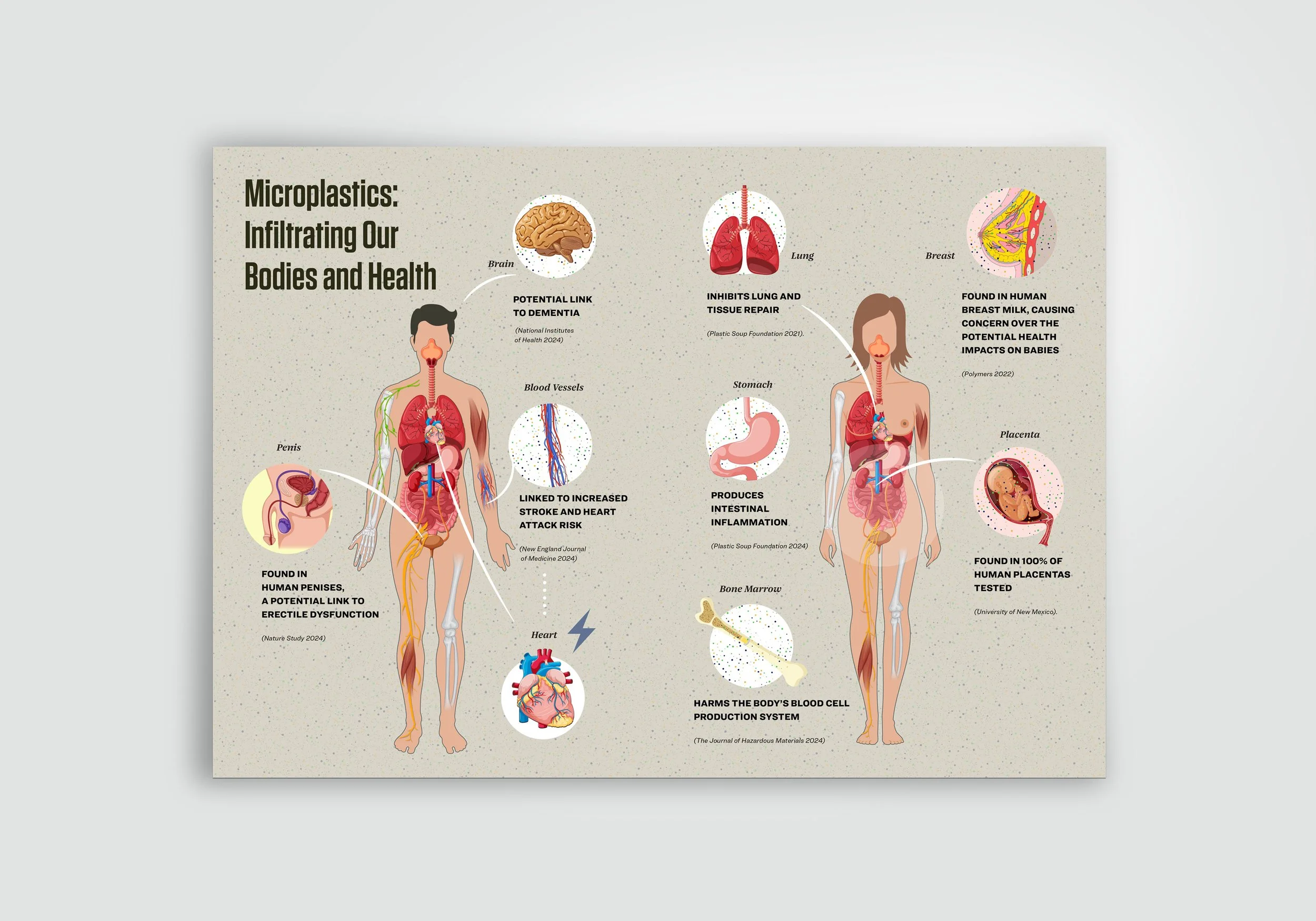 Microplastics: Infiltrating Our Bodies and Health